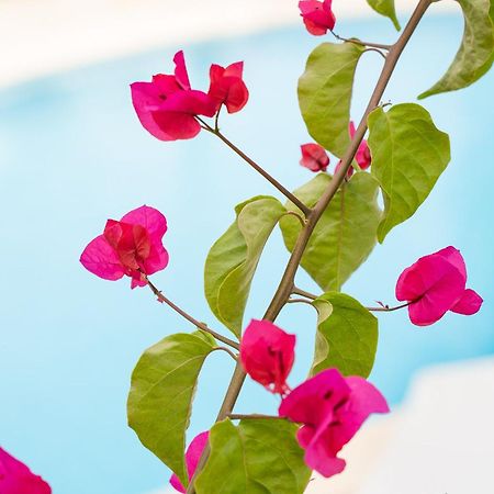 Apartamentos Los Tilos パゲラ エクステリア 写真