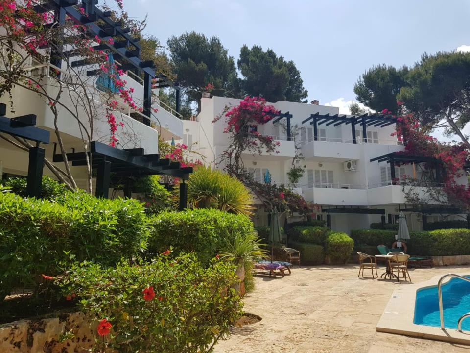 Apartamentos Los Tilos パゲラ エクステリア 写真